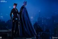 Sideshow Collectibles - DC Comics Sixth Scale Figure - Catwoman